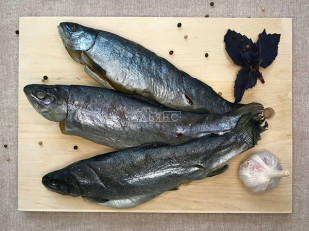 Сыр Чечил паутинка (зелень чеснок)  500 гр.: Форель радужная вяленая